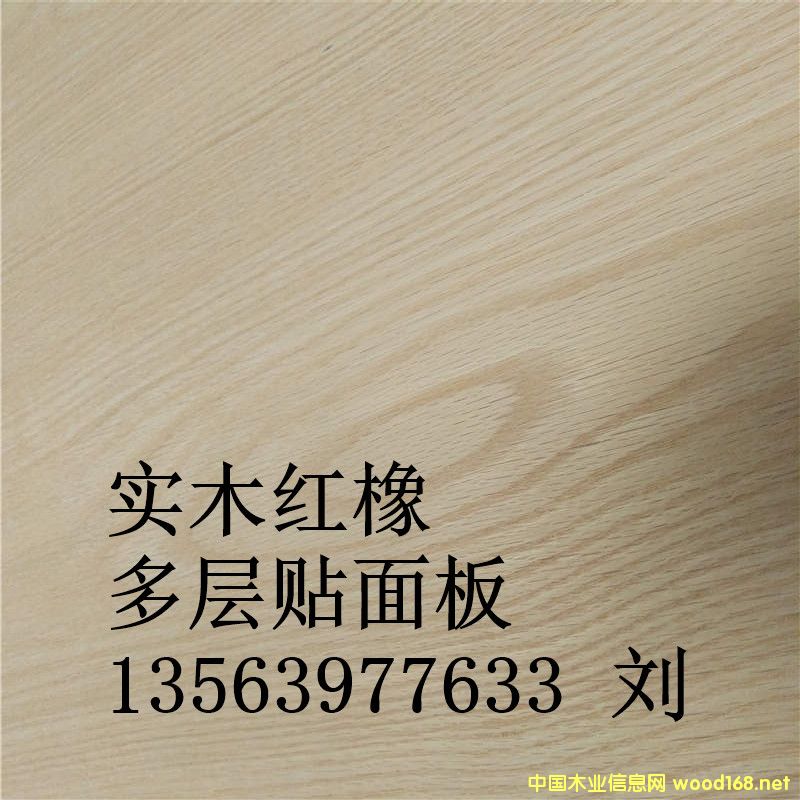 �t����Ӱ��Ԕ��(x��)��B