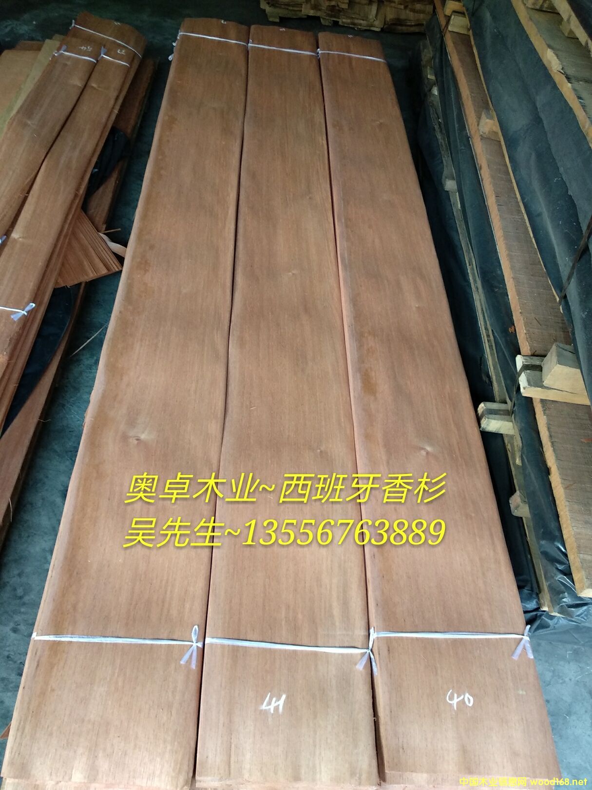 ����/��������ɼ/ѩ��