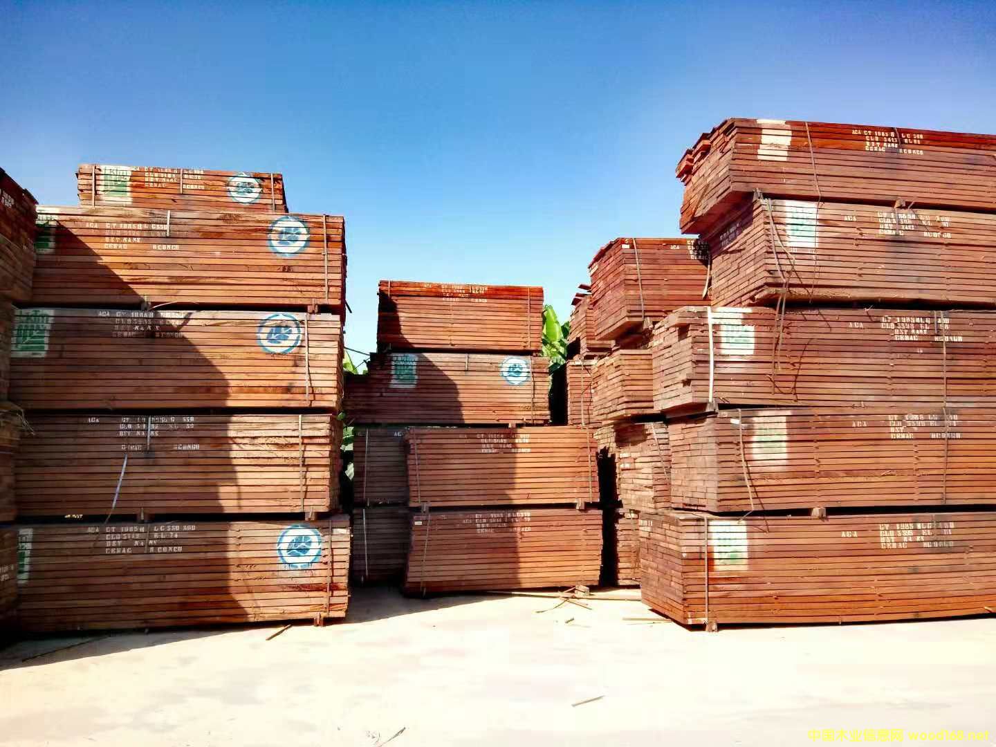 �����һ�о