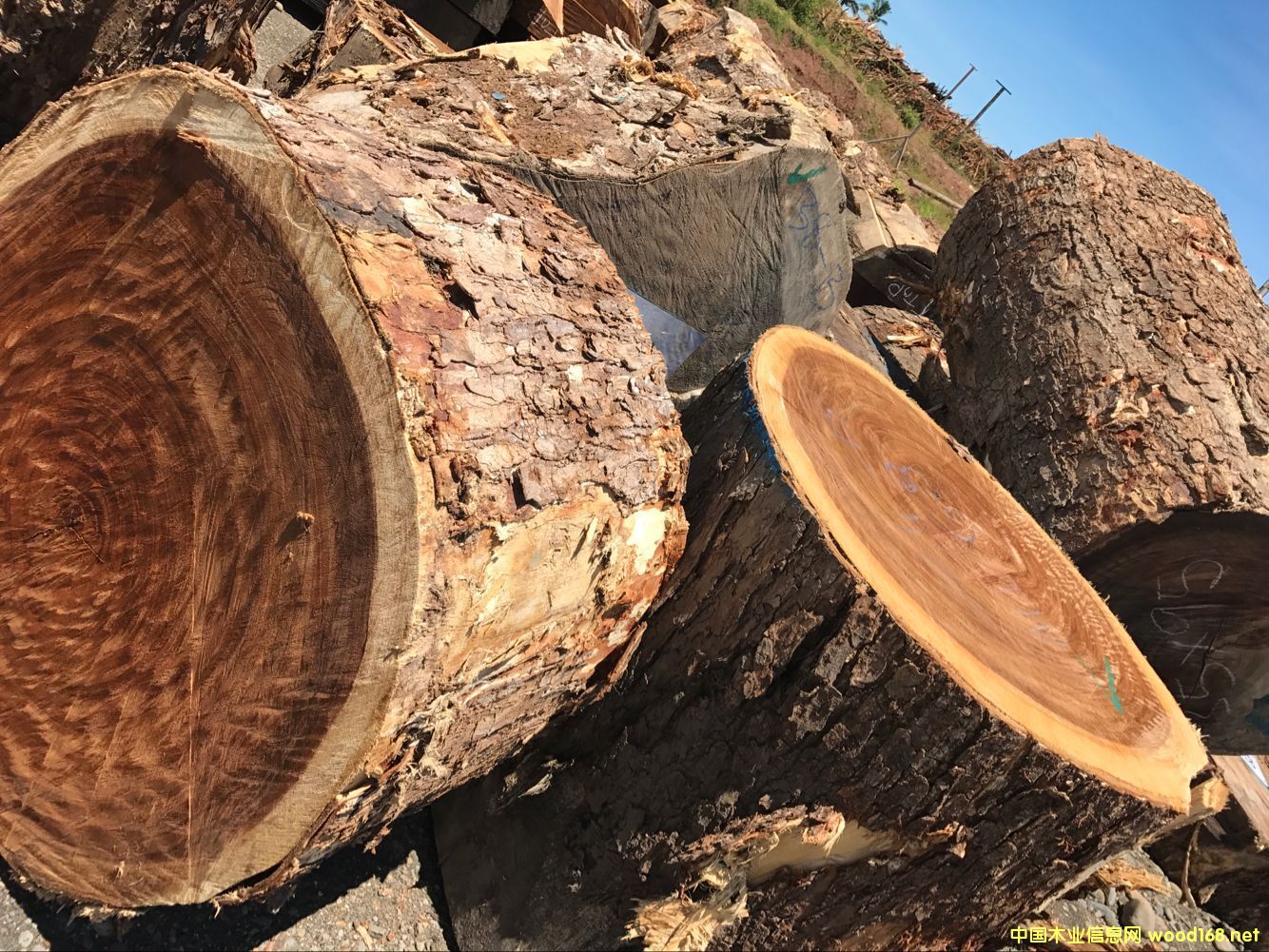 �S(ch��ng)��ֱ�N(xi��o) �M(j��n)����ľ