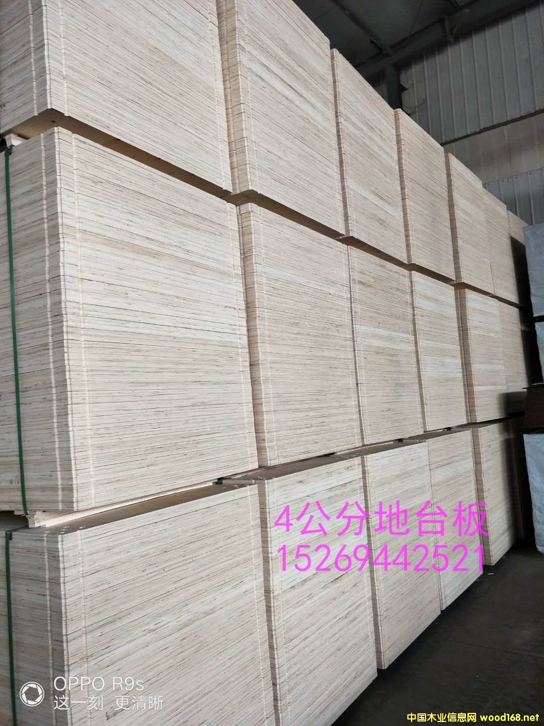 չ�_(t��i)��