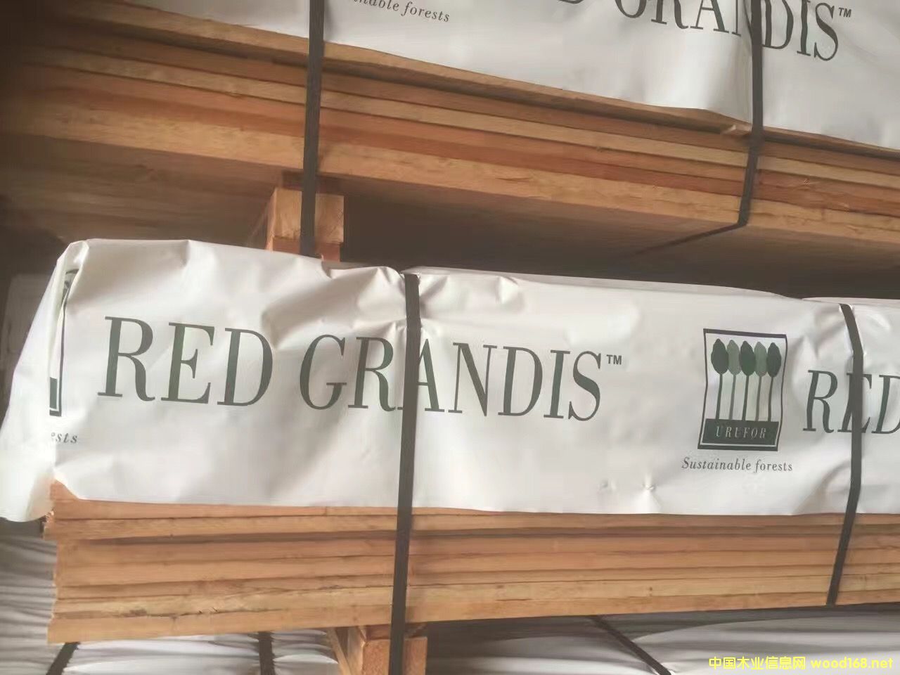 ������õ��ľ��Ԕ��(x��)��B