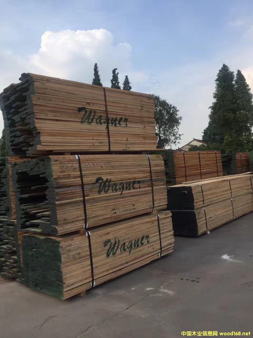 �����t��