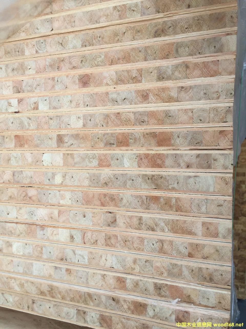 �T�װ���ľо��Ԕ��(x��)��B