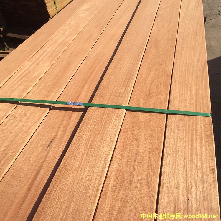 [��] �Ϻ�����ľ�S��