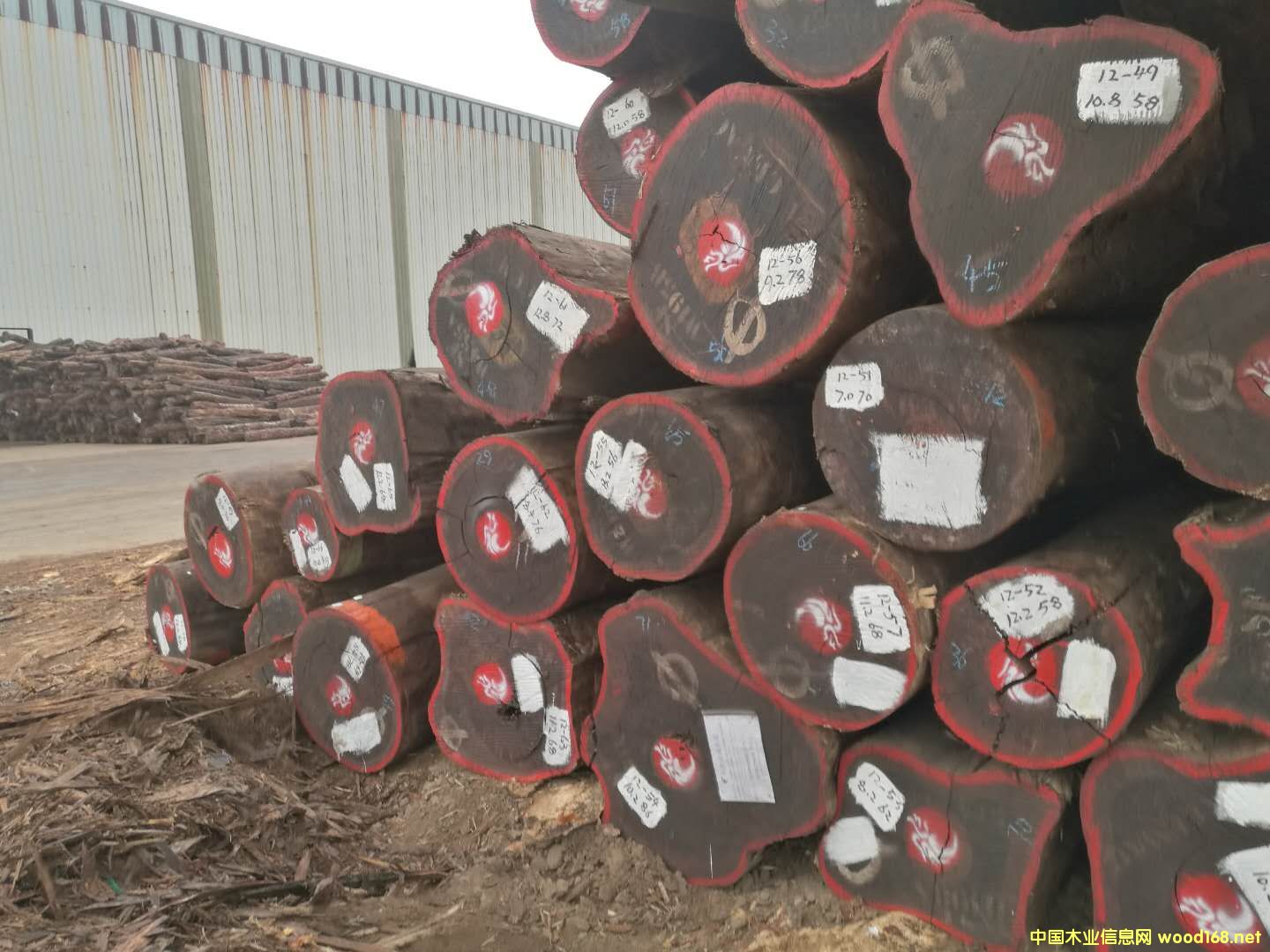 �t�����Ԕ��(x��)��B