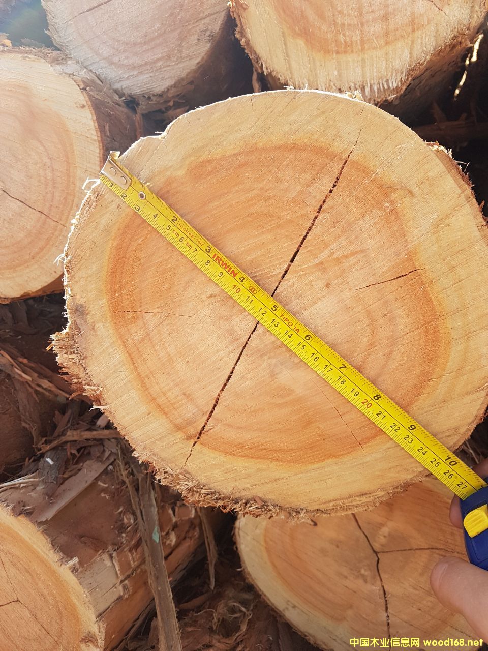 ����õ����ľ ԭľ��Ԕ��(x��)��B