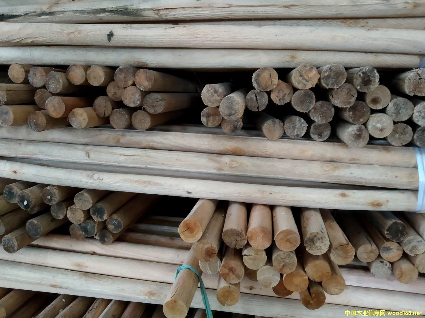 ����(y��ng)���ľ����ľľ����ľ������ĵ�Ԕ����B