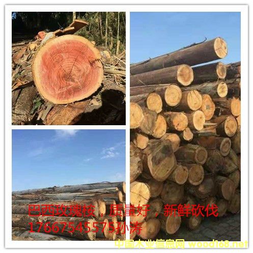 ����õ����ԭľ