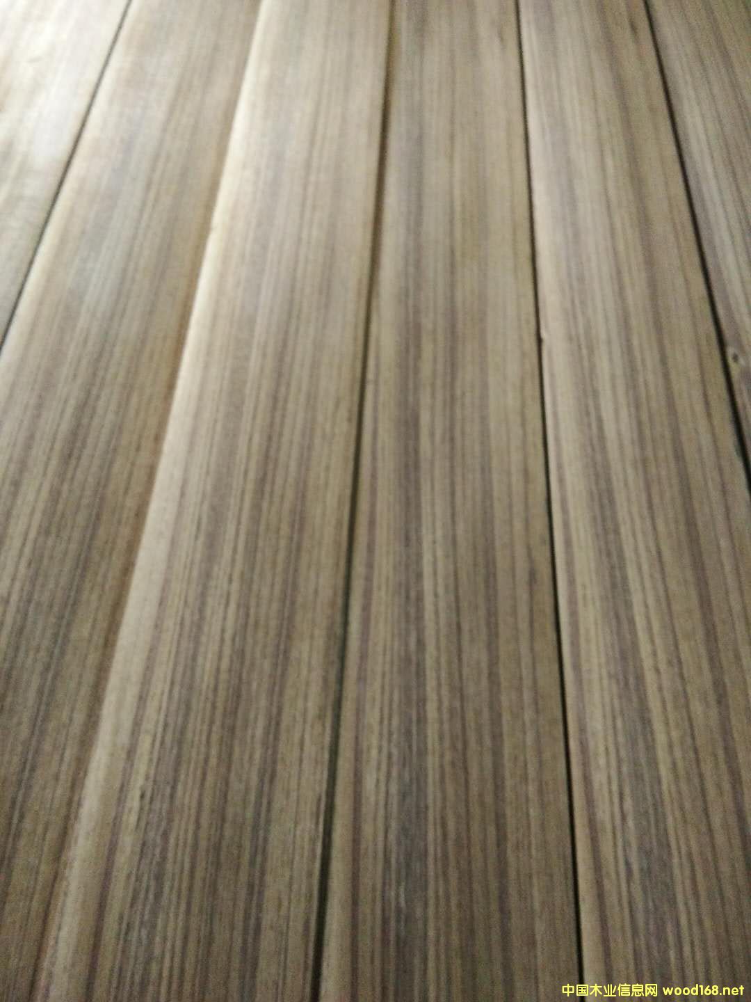 ��ľ��Ԕ����B