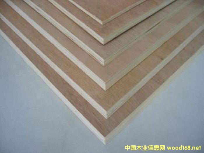 ��(y��u)�|(zh��)12mmE1��(j��)�ߙn�Ҿ������Ӱ�