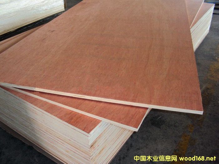 ��(sh��)ľ�N���ö��Ӱ����Ҿ߰�