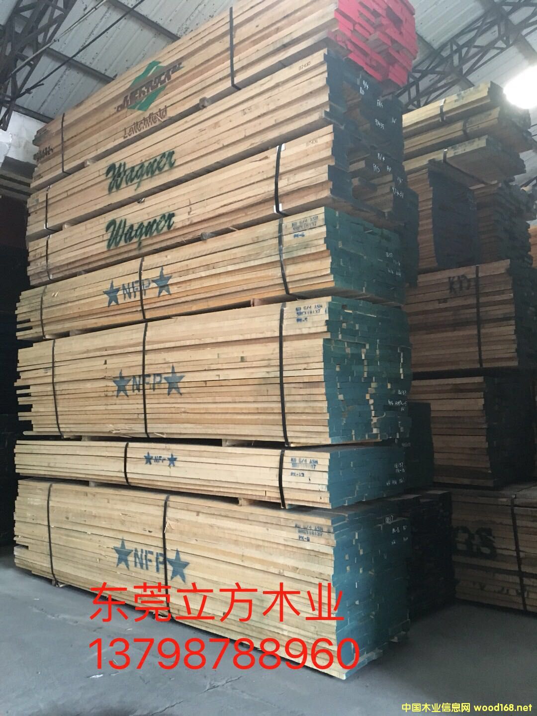 ������Ϟ?z��i)?><br>
                      <font size=3><b>������Ϟ?z��i)?/b></font></a></div>
                  </td>
                </tr>
                 
                <tr> 
                  
                <td height=