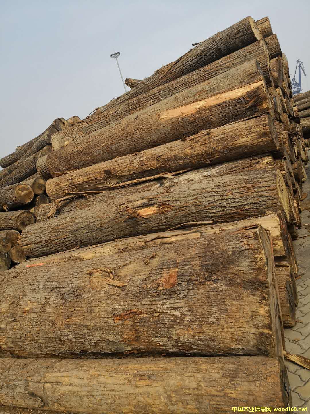 ����(gu��)�ľ��Ԕ��(x��)��B