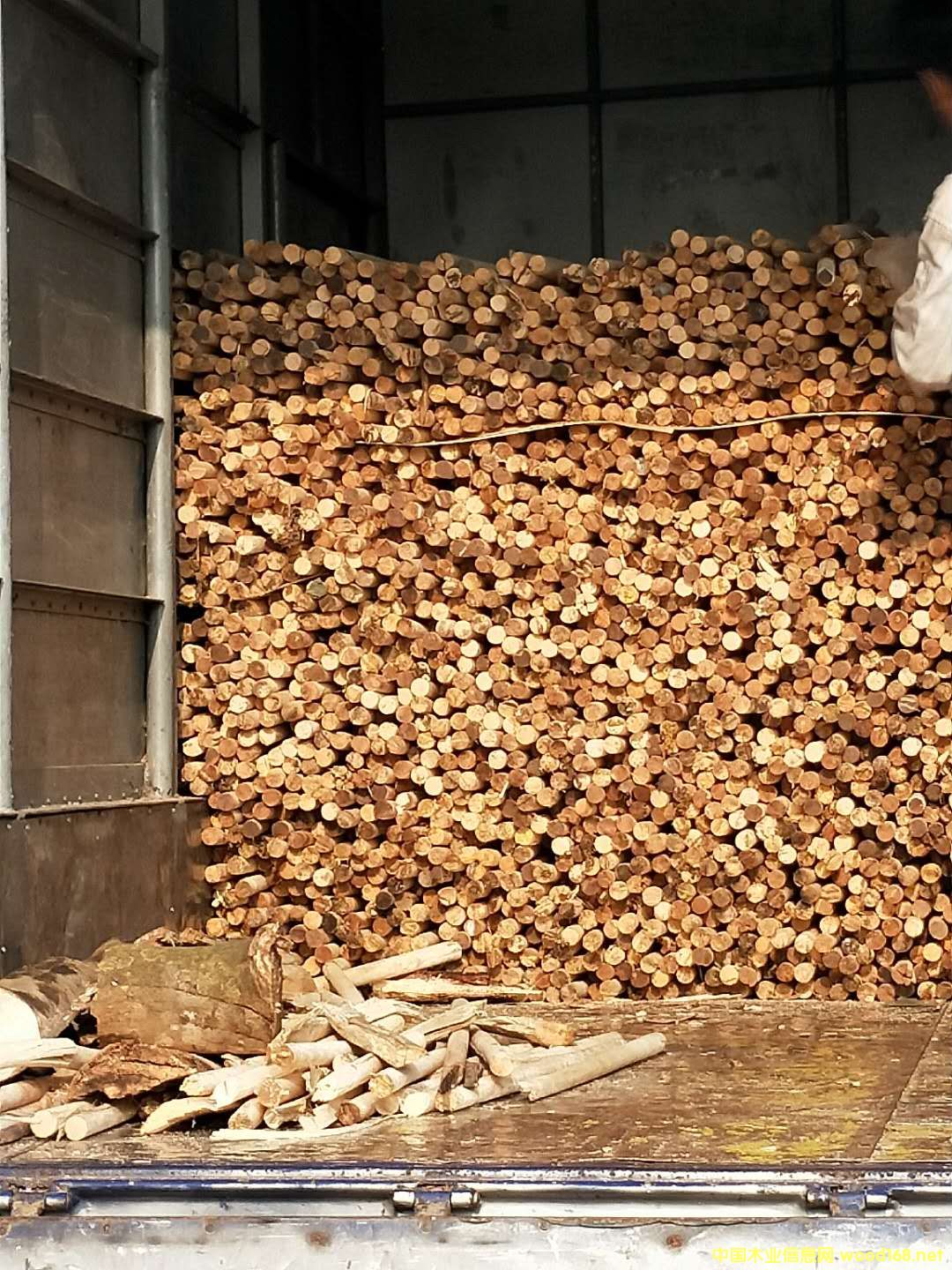 ���zľľ��