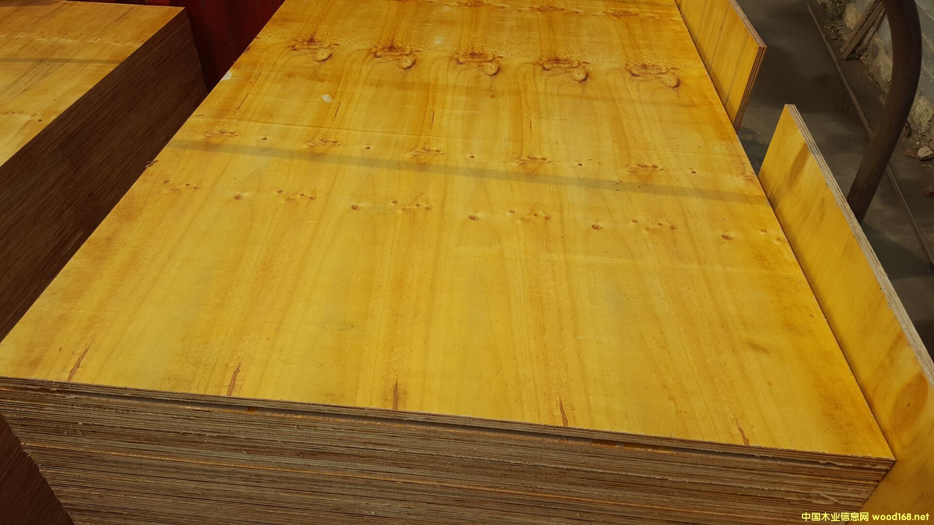 15���z���Ԕ��(x��)��B