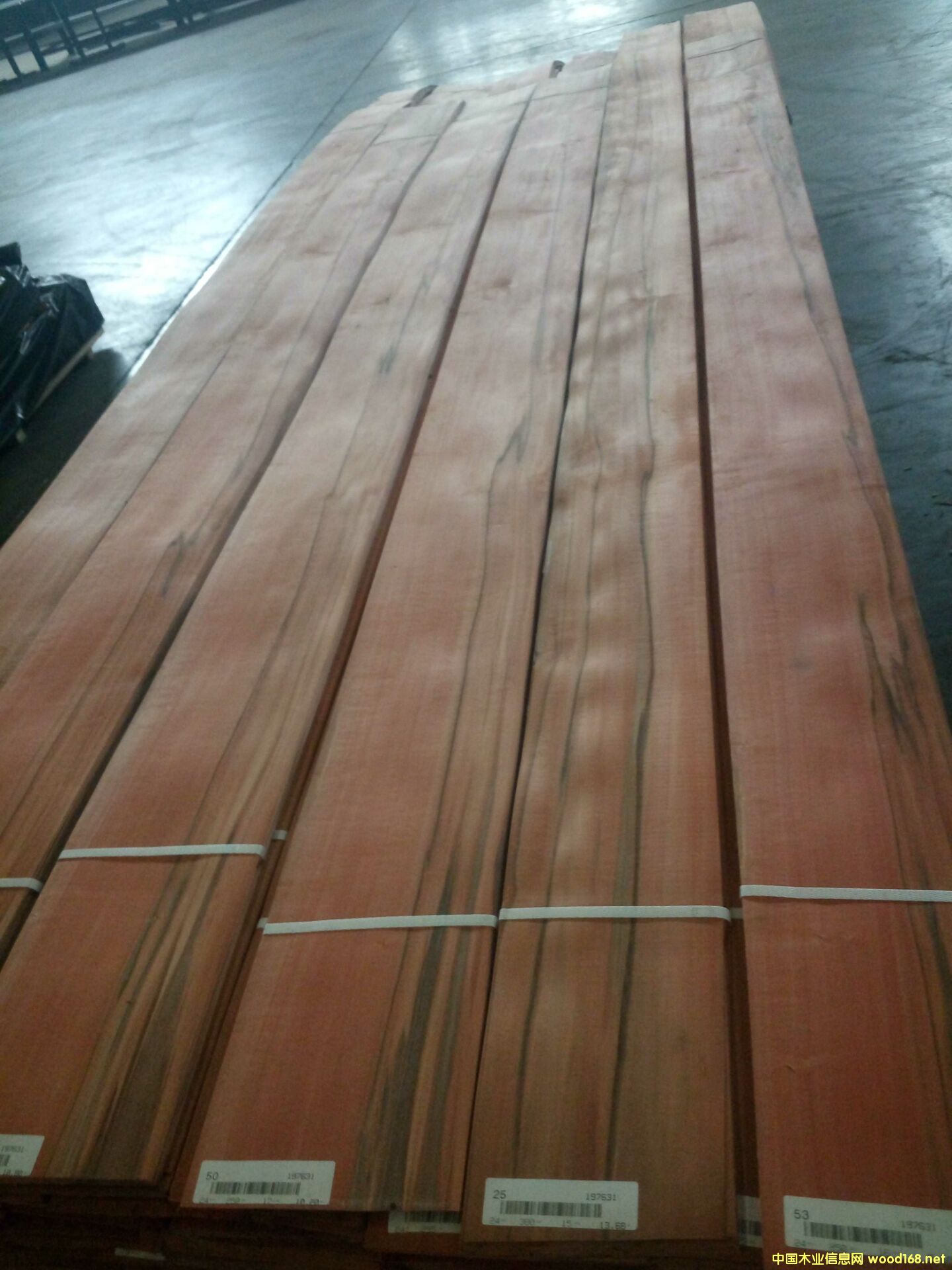 �O��ľ��Ԕ����B