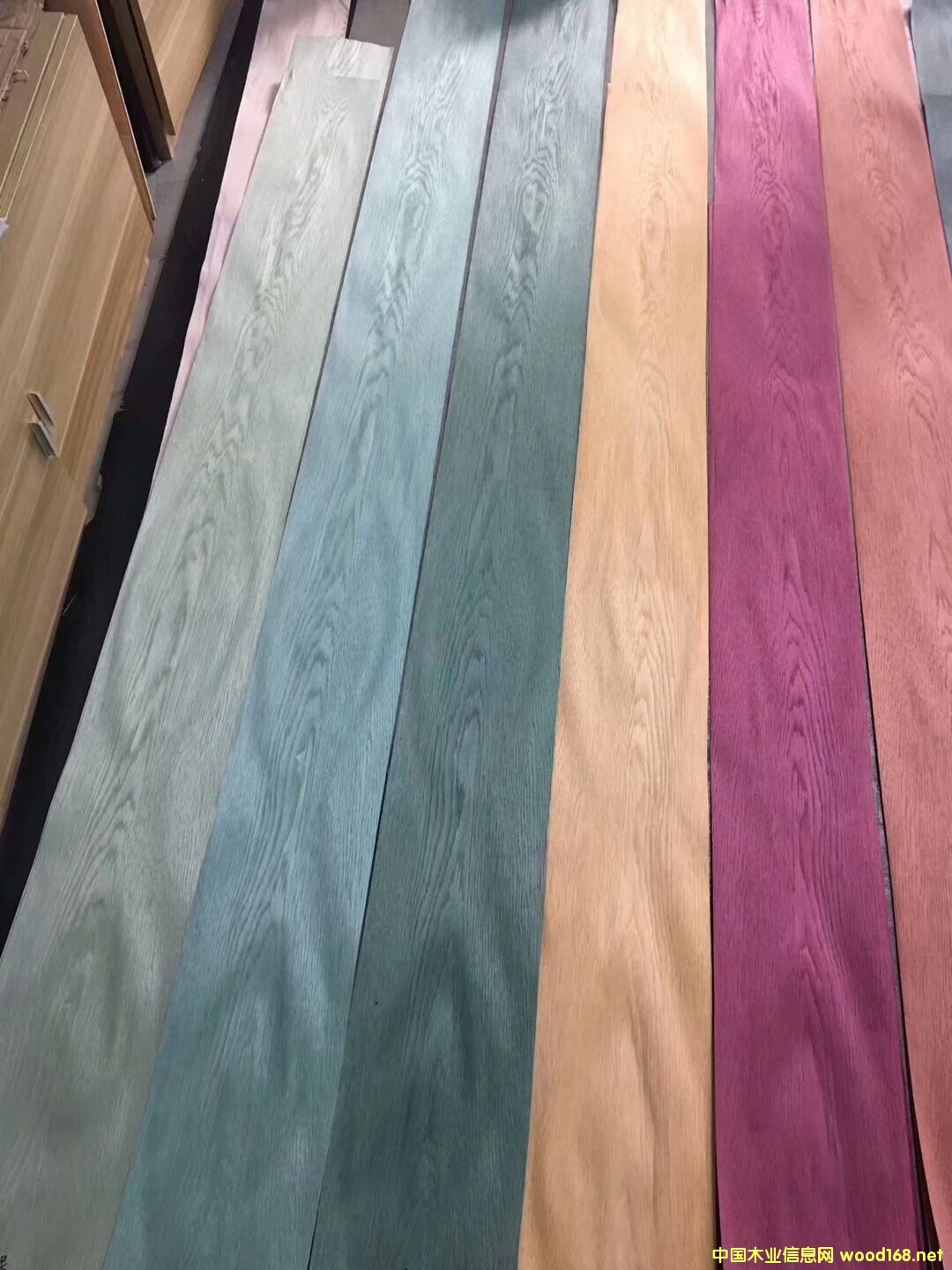 ȾɫľƤϵ�е�Ԕ����B