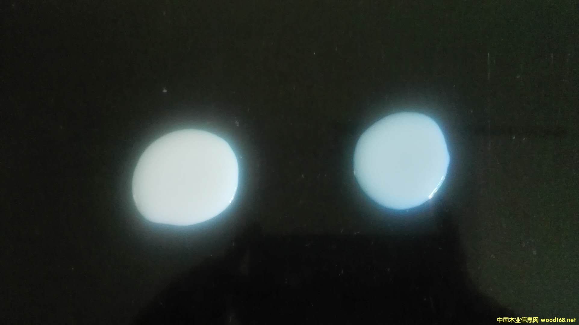 ˮ�ԭh(hu��n)����֬��Ԕ��(x��)��B