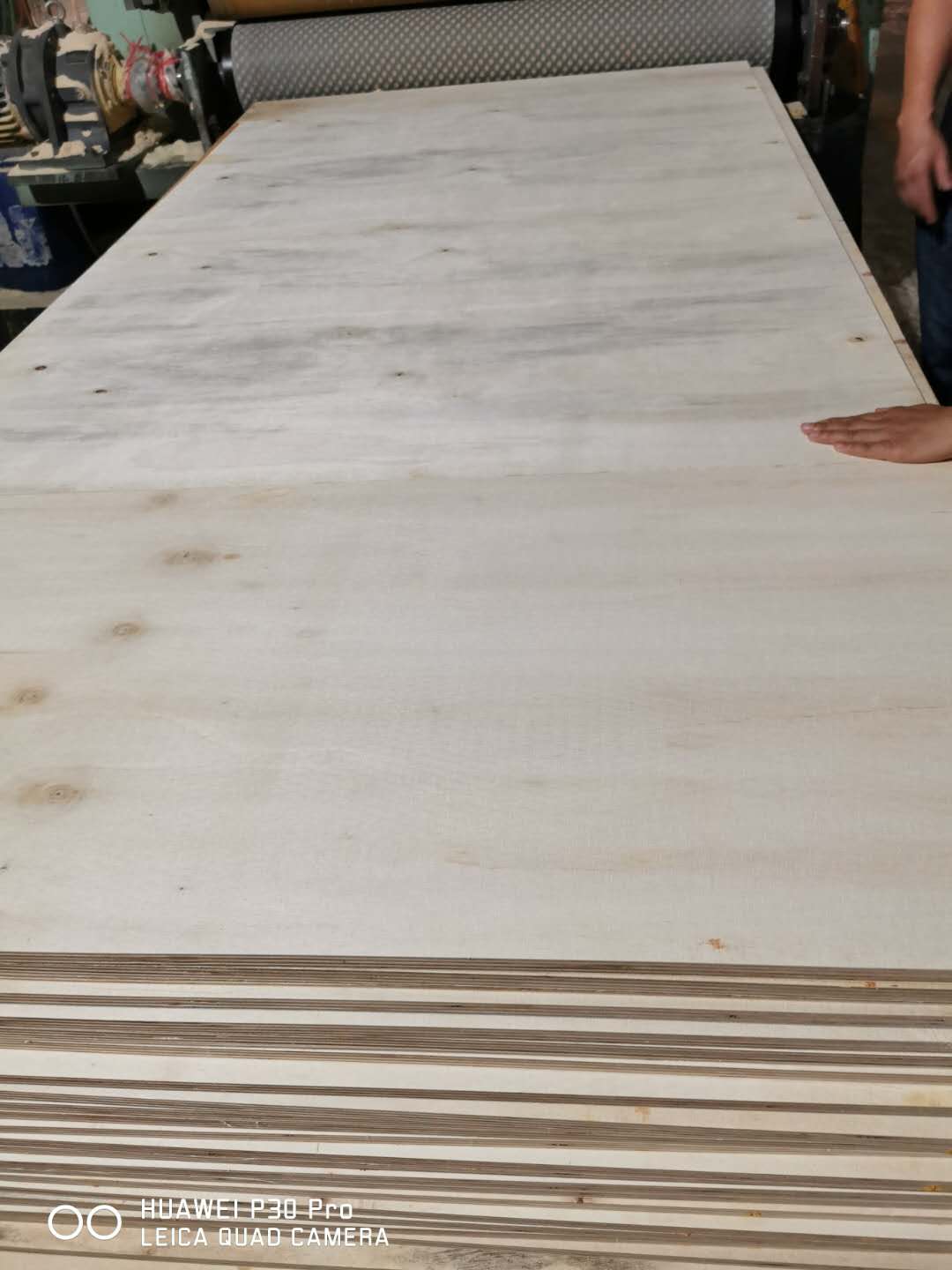 [��] �S��ֱ���Ҿ߰���b���z�ϰ���Ӱ��бP�宐�ΰ�2-25mm