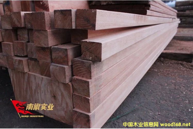 ����ľ��ăr(ji��)�� �t����ľ����ľ��(b��o)�r(ji��)