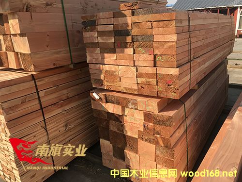 �Ϻ�������̼��ľ�r(ji��)�� ̫�}(c��ng)�����ɽ���ľ���S��