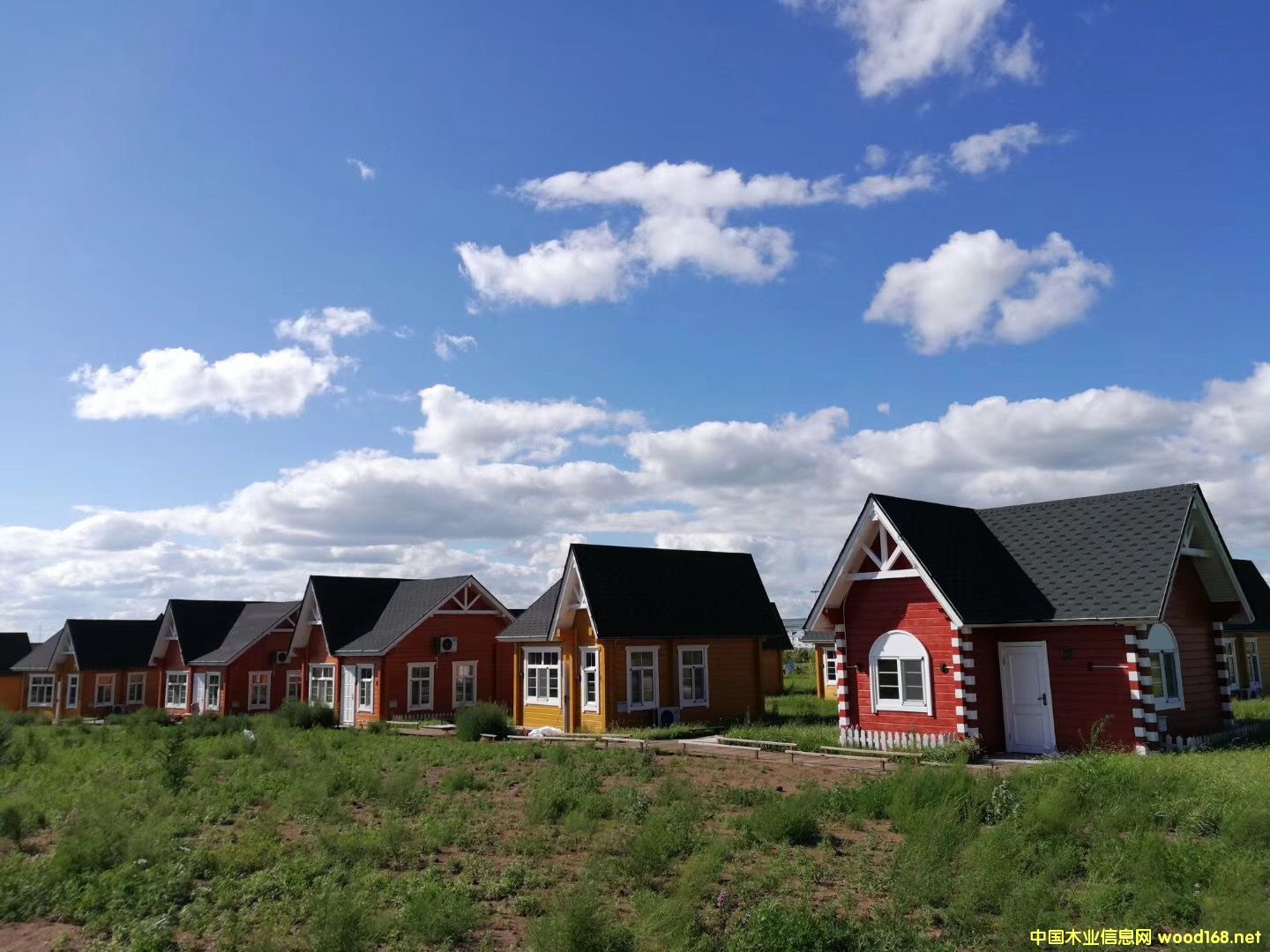 ľ�ݏS��  ľ�݄e�������X(qi��n)