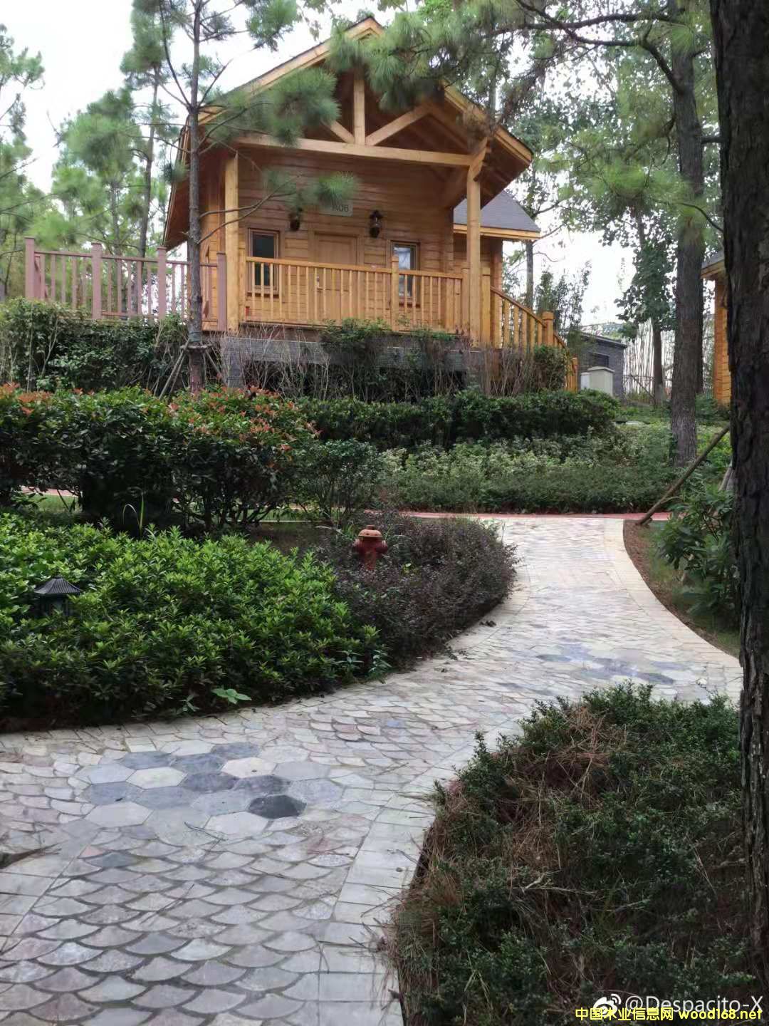 �p��ľ�Y(ji��)��(g��u)ľ��  ľ�ݏS��