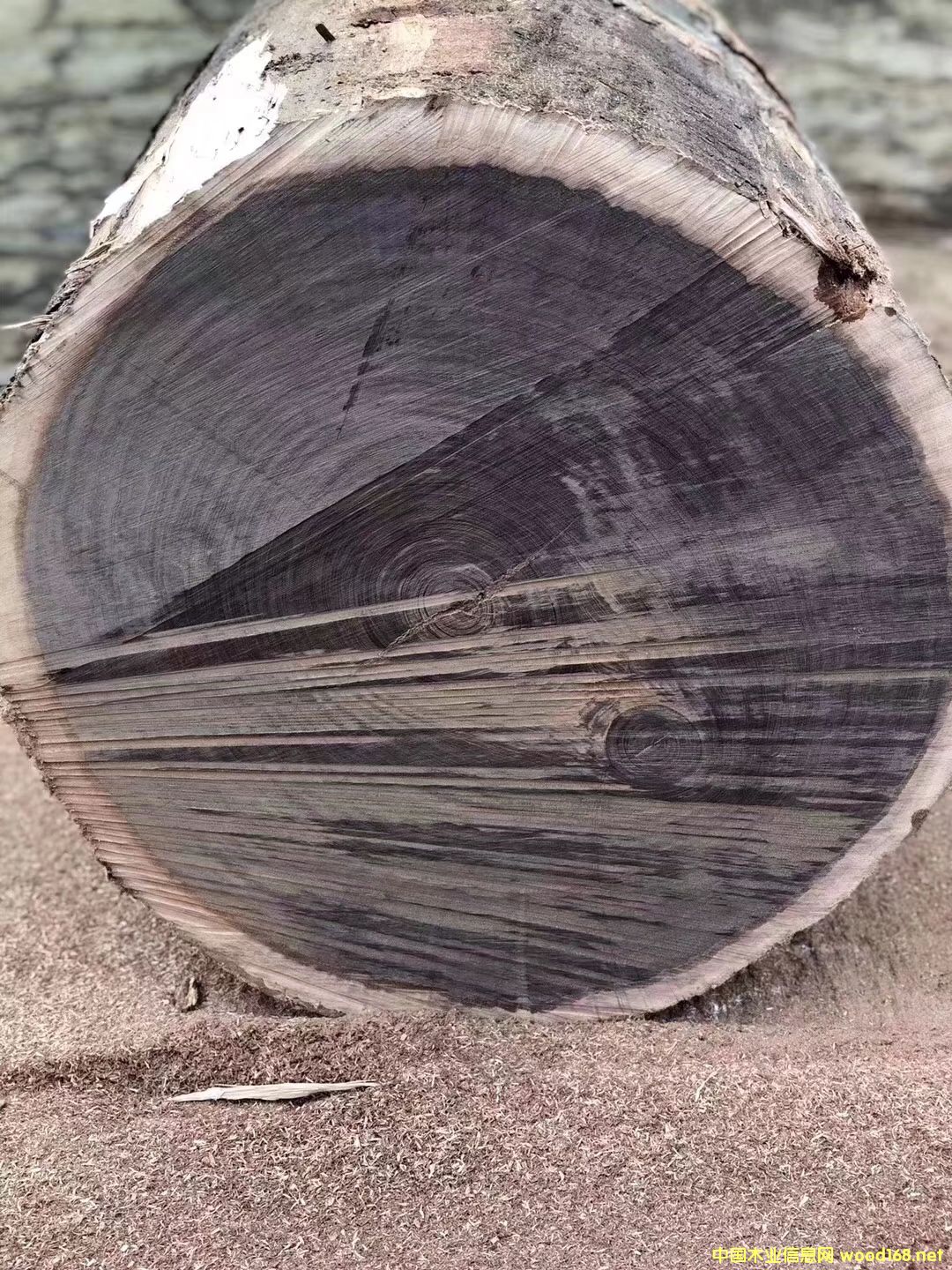 ��̴��Ԕ��(x��)��B