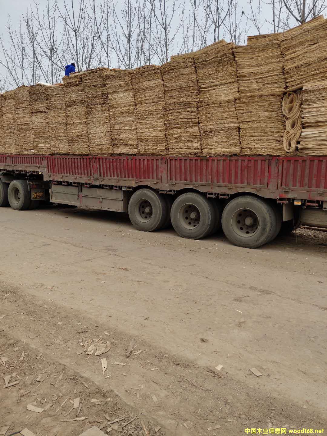 板材的詳細介紹