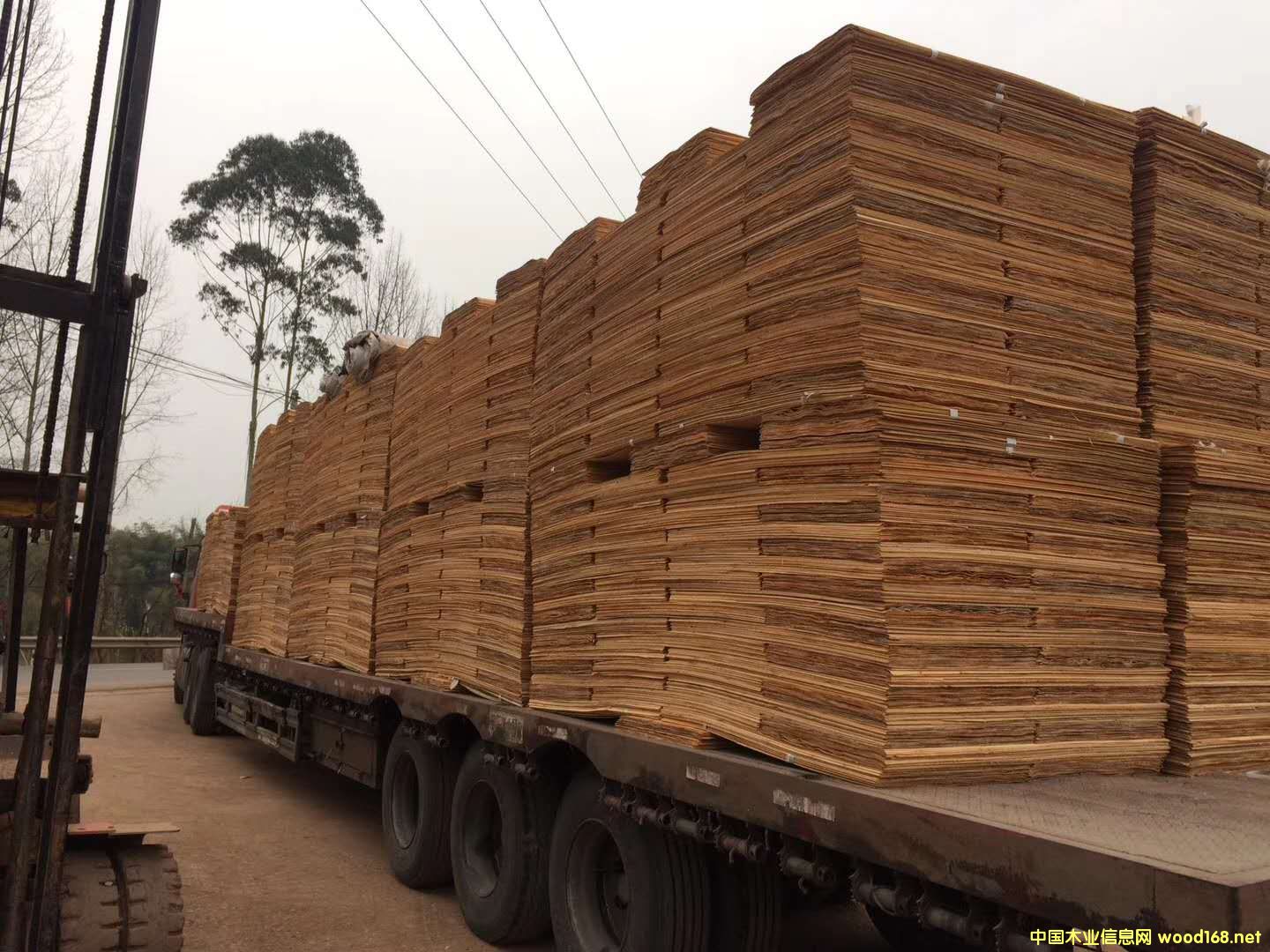 板材的詳細介紹