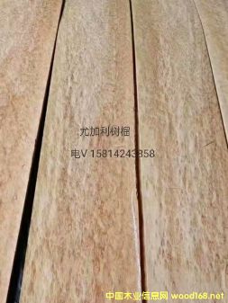 ��(y��u)�|(zh��)��Ȼ�ȼ�����(sh��)��ľƤ