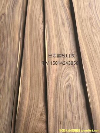 ��(y��u)�|(zh��)��Ȼ������֦ɽ�yľƤ