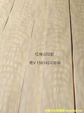 ��(y��u)�|(zh��)��Ȼ�t��ɽ�yӰľƤ