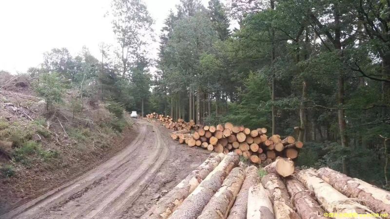 �W����ɼ��Ԕ��(x��)��B