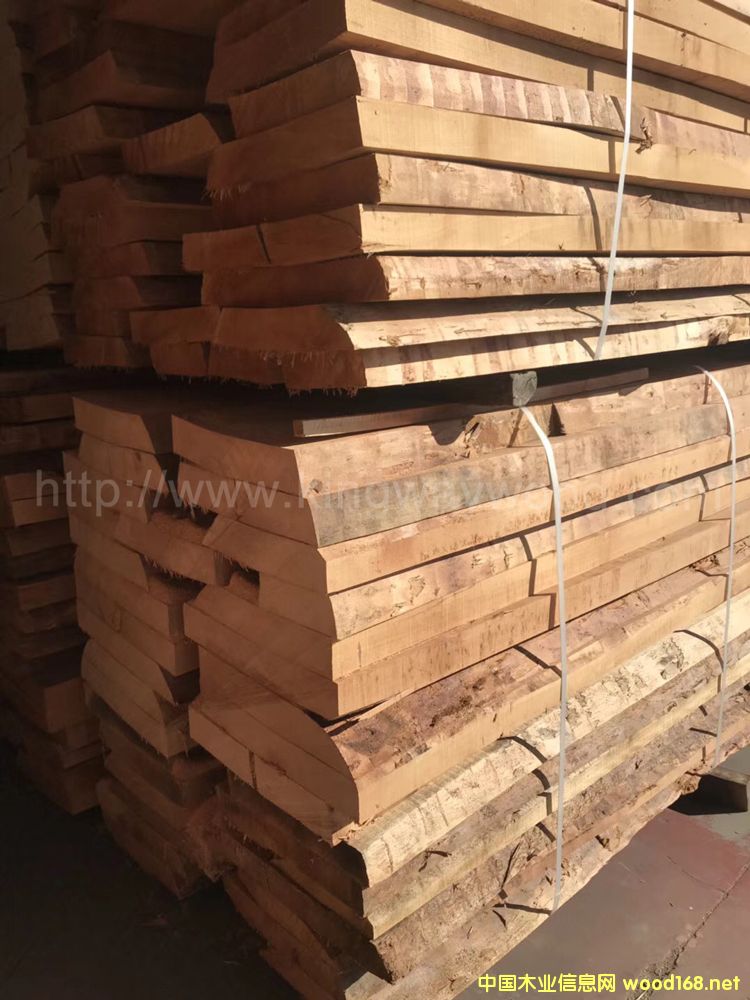 �W�ޙ�ľ��(sh��)ľ�� ë߅�� �L(zh��ng)�ϵ�Ԕ��(x��)��B