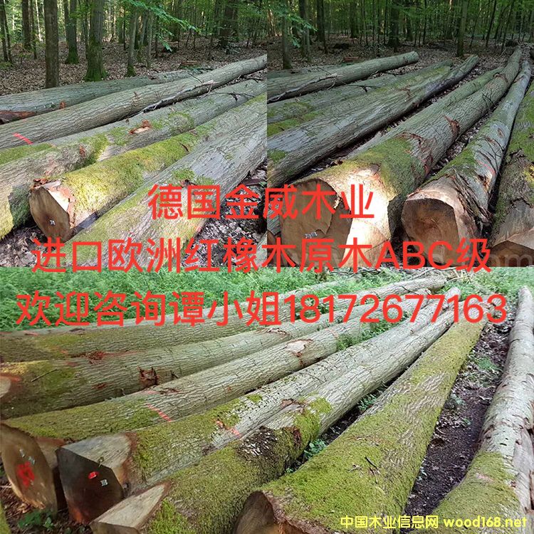 �W�޼t��ԭľ��Ԕ��(x��)��B