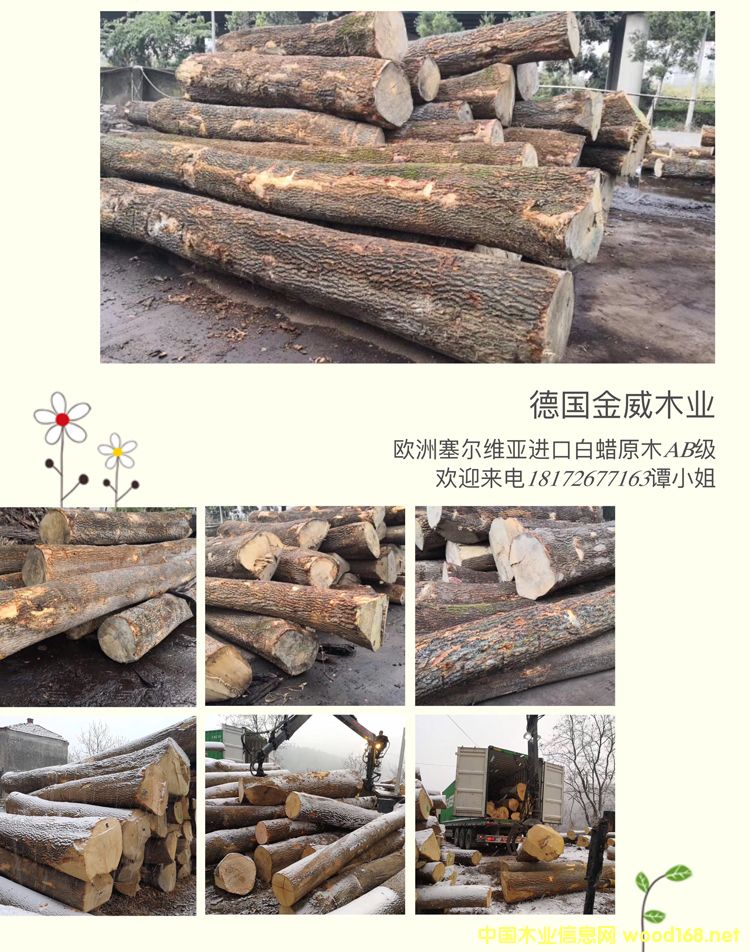 �W�ް�Ϟ?z��i)?ԭľ��Ԕ��(x��)��B