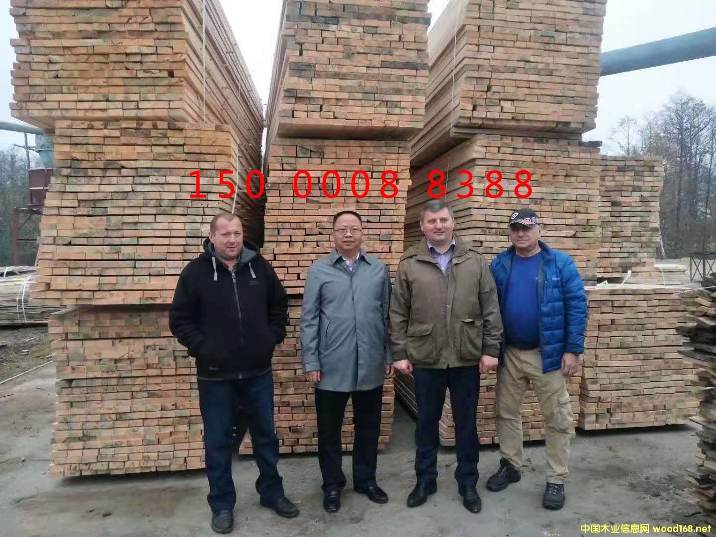 輻射松的詳細(xì)介紹