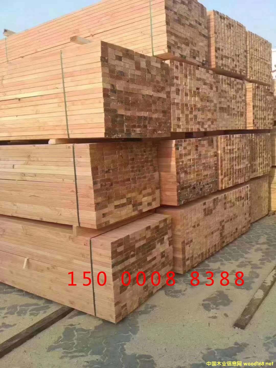 澳松的詳細(xì)介紹