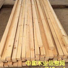 �c���鿴����ľ���Ŵ�DƬ