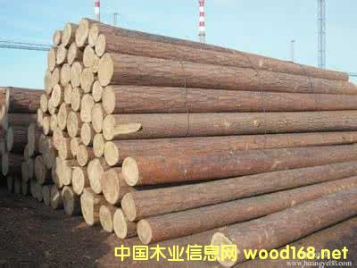 �c���鿴����ľ���Ŵ�DƬ