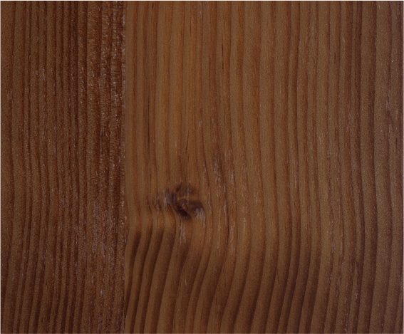 ��Ѭ��ľ��ɫľ����