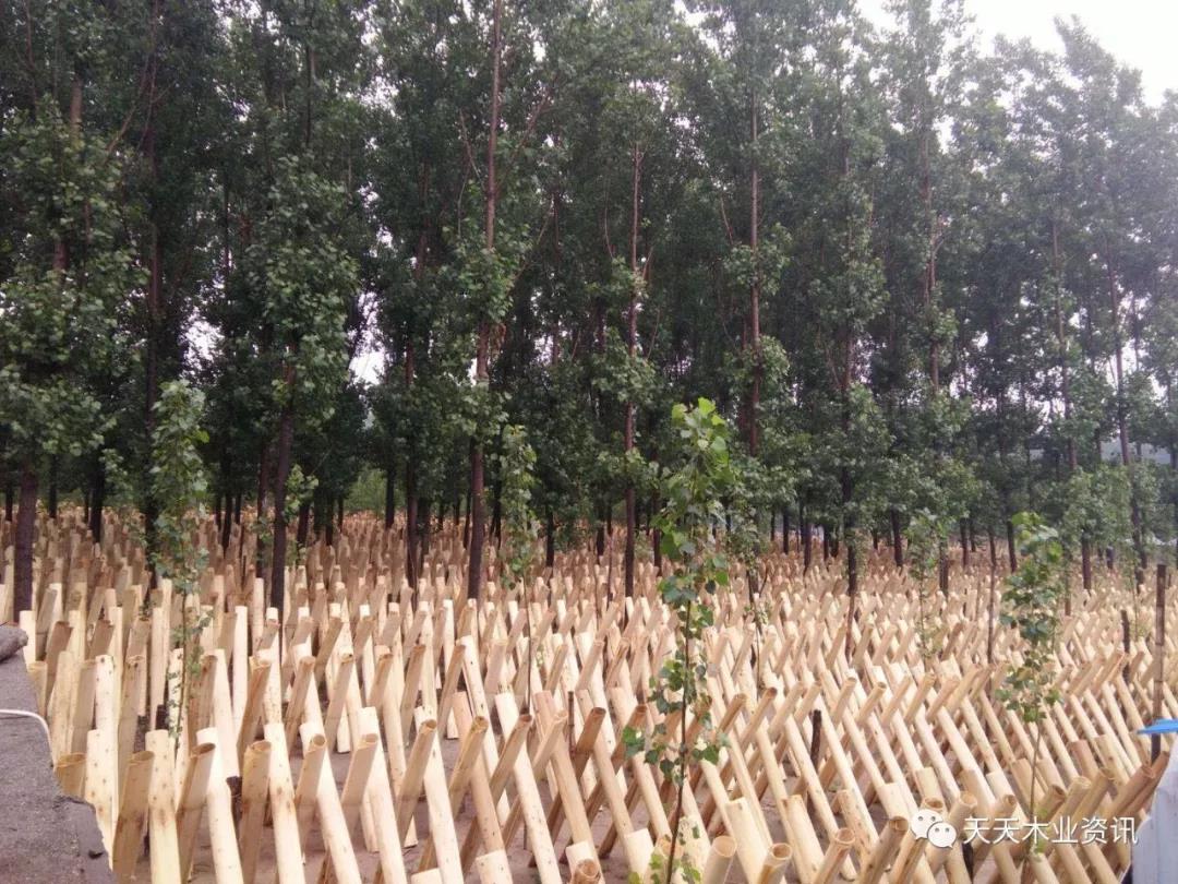  ��Ԕ��(x��)��B