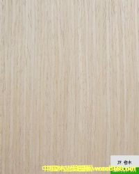 �Ƽ�ľƤ��Ԕ��(x��)��B