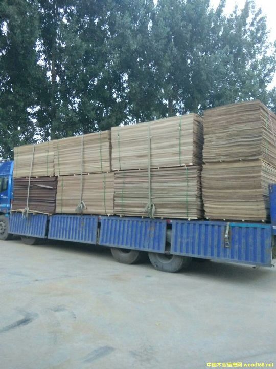 �͇���о��Ԕ����B