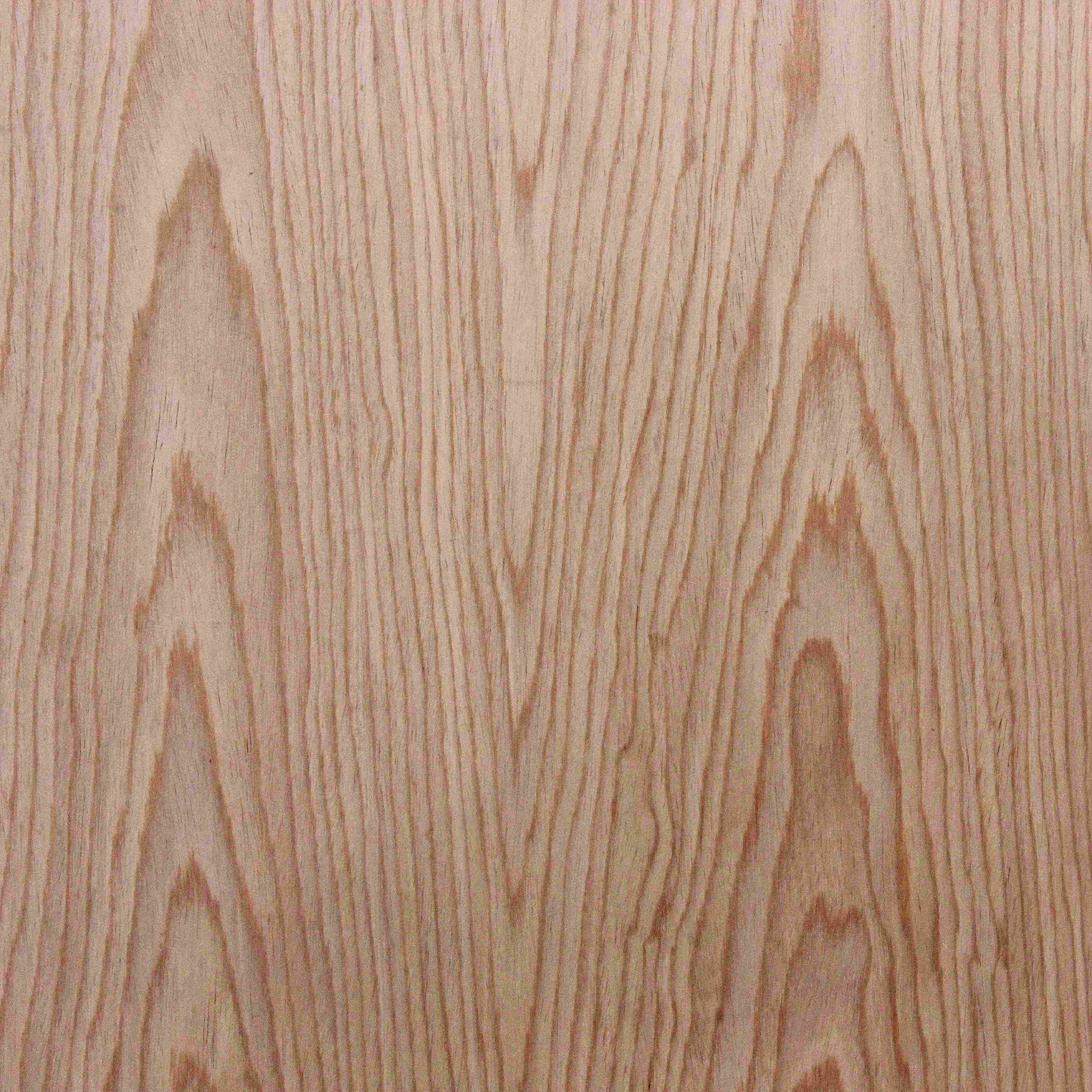 �ұ���A������ľ���