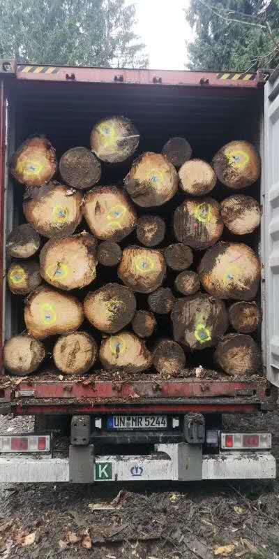 ��(gu��)��ɼ��Ԕ��(x��)��B