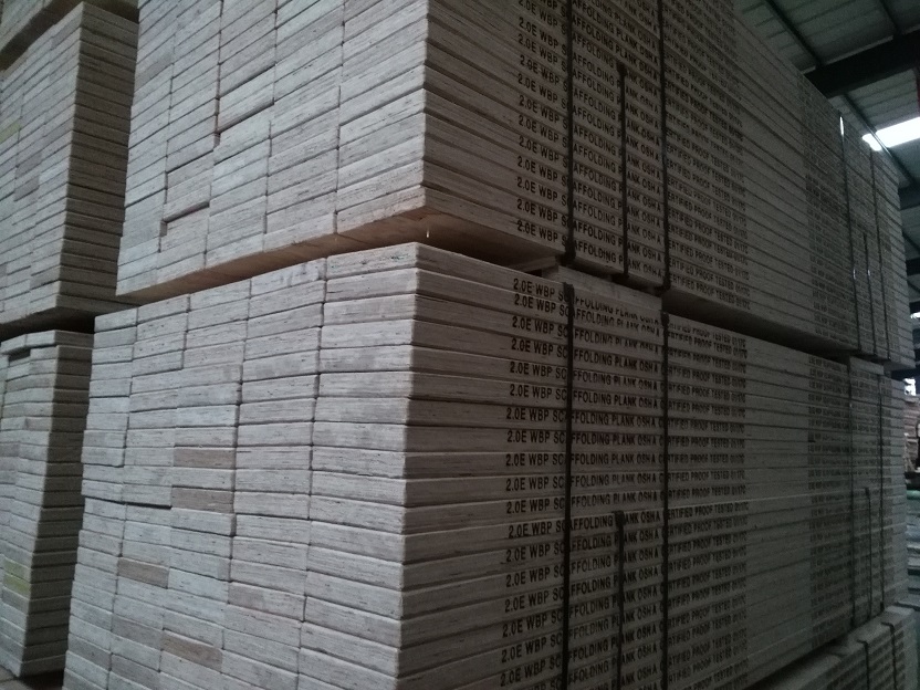 ��ľLVL�_̤��