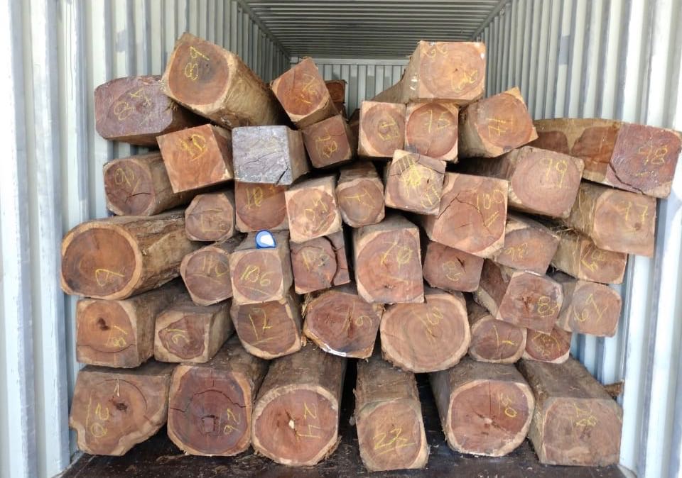 ����֦(韱ⶹ)